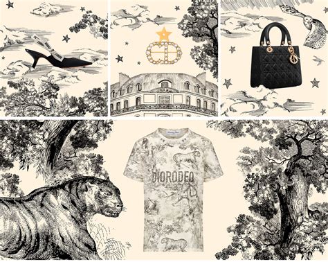 dior toile de jouy collection|modern toile de jouy.